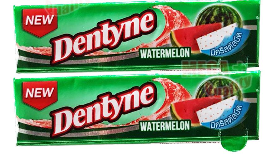 Dentyne Chewing Gum 13.5g (WATERMELON)