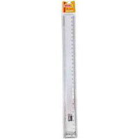 CAMLIN Exam Scale 30cm